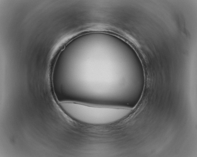 X0000112471464200908170940