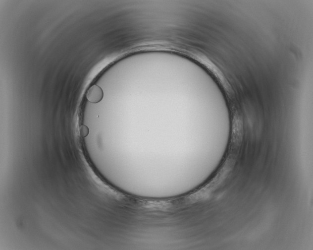 X0000112471466200908170940