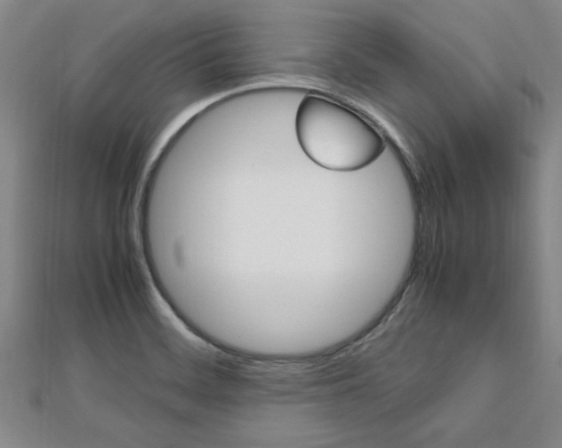 X0000112471468200908170940