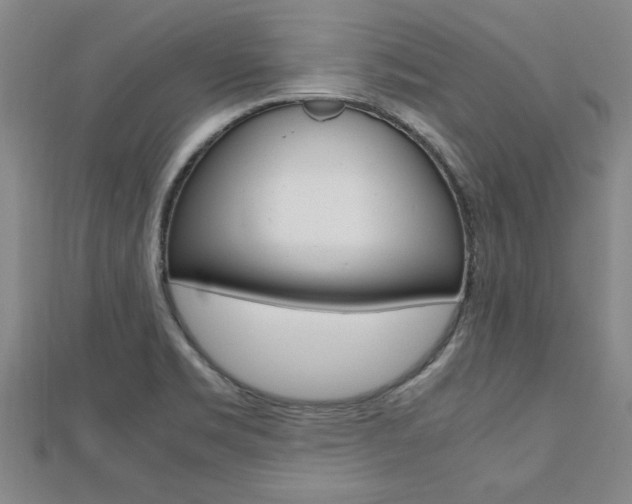 X0000112471469200908170940