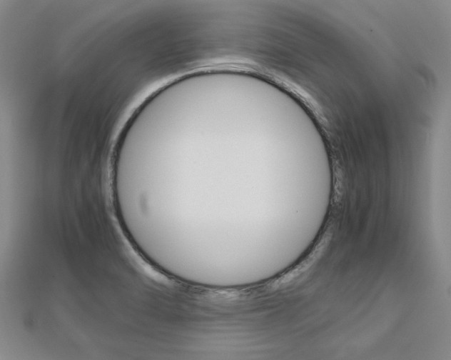 X0000112471470200908170940