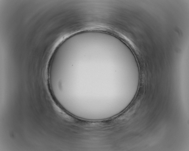 X0000112471471200908170940