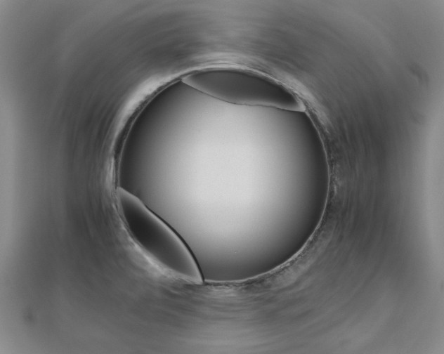 X0000112471472200908170940