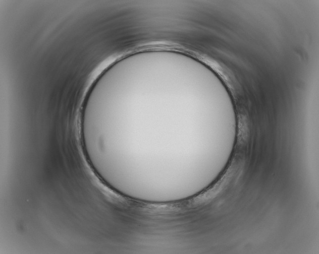 X0000112471474200908170940