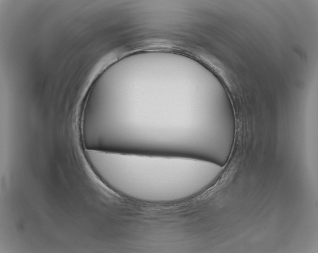 X0000112471475200908170940