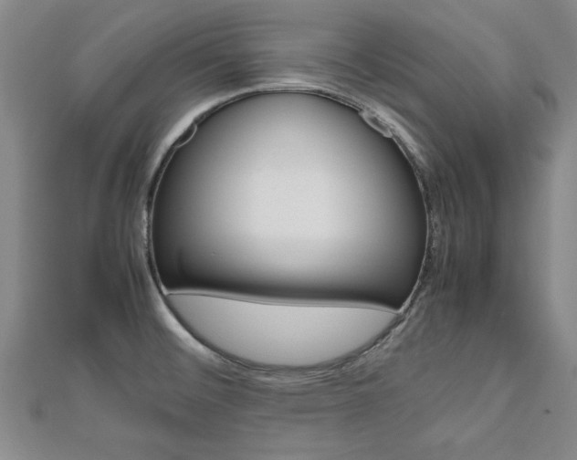 X0000112471476200908170940