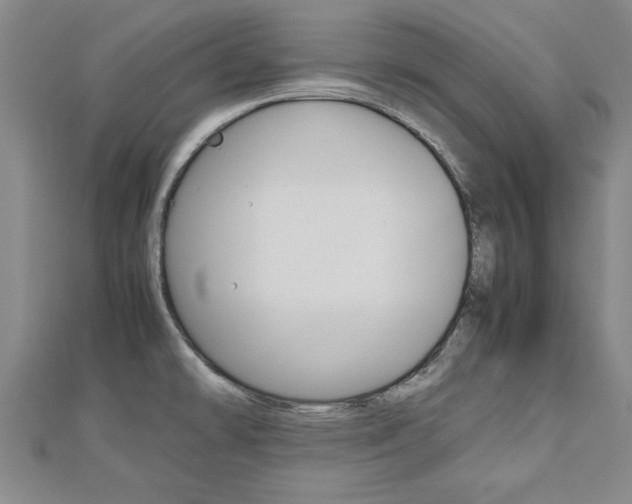 X0000112471478200908170940