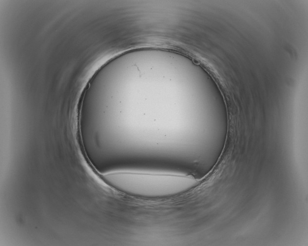 X0000112471479200908170940