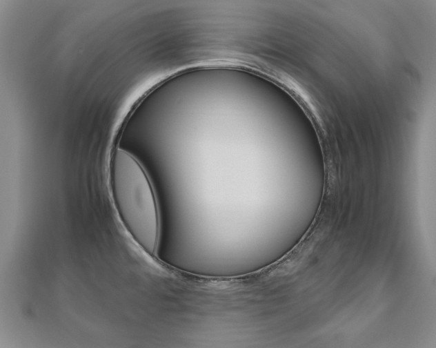X0000112471480200908170940