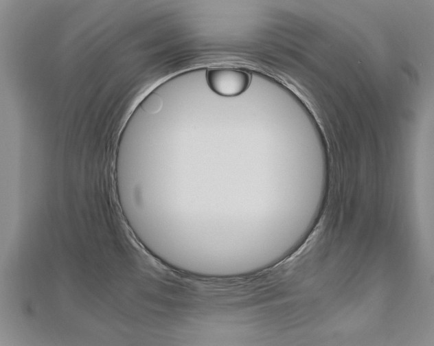 X0000112471481200908170940