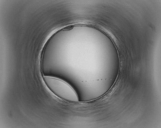 X0000112471483200908170940