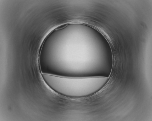 X0000112471484200908170940