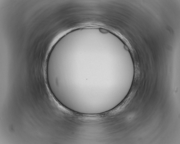 X0000112471486200908170940