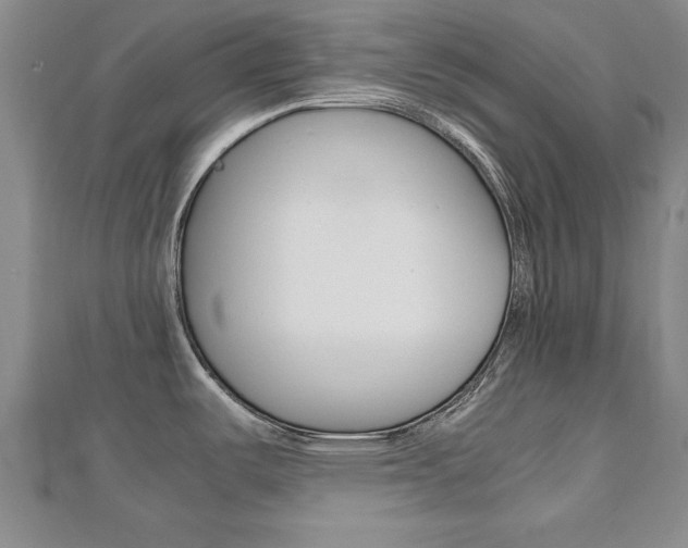 X0000112471487200908170940