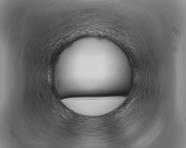 X0000112471490200908170939