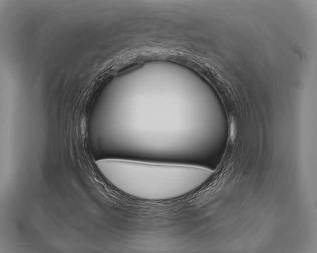 X0000112471492200908170939
