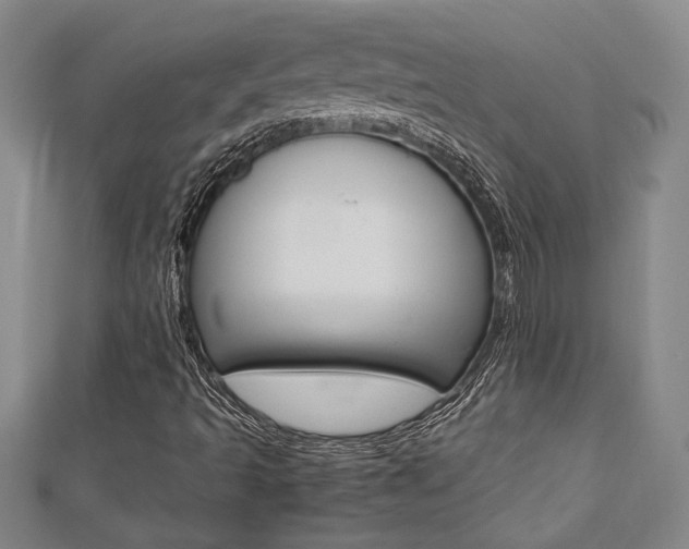 X0000112471493200908170939