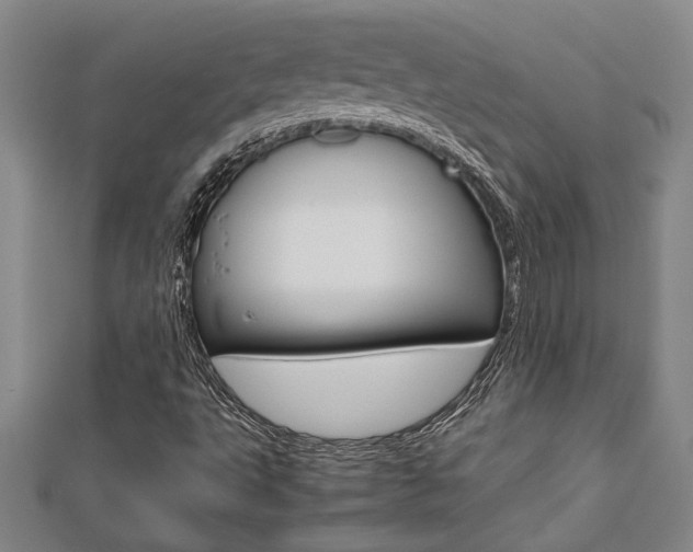 X0000112471495200908170939