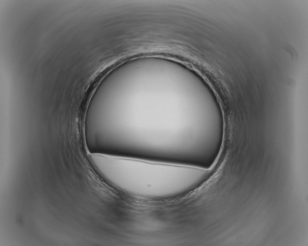 X0000112471497200908170939