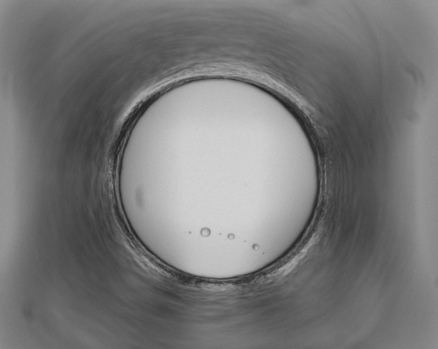 X0000112471498200908170939