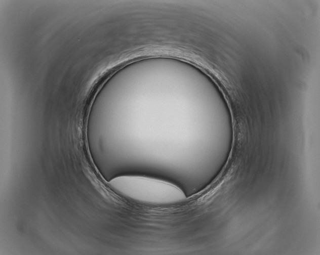 X0000112471499200908170939