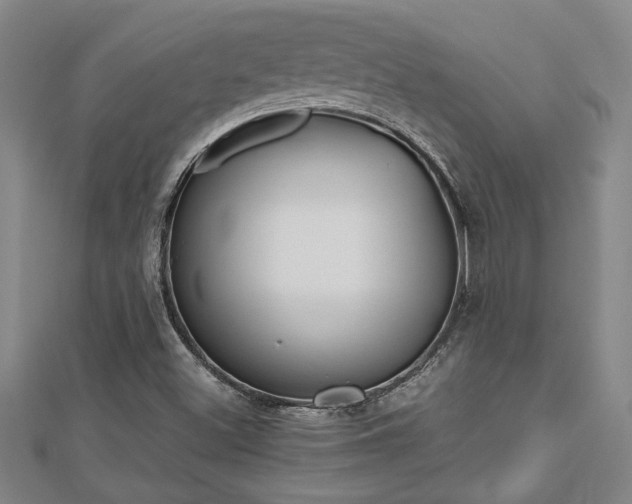 X0000112471500200908170939