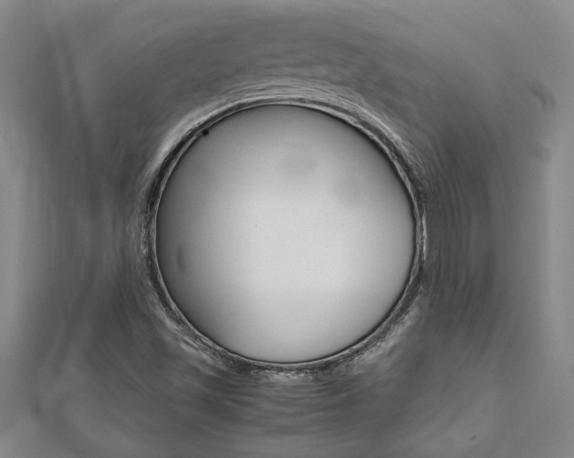 X0000112471501200908170939