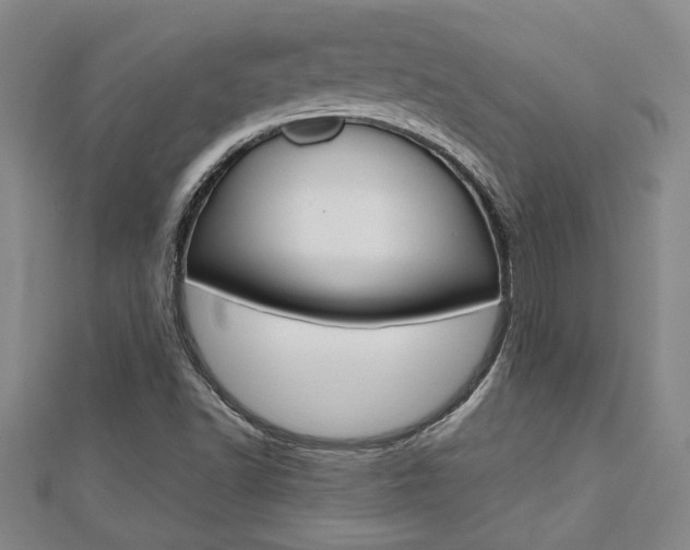 X0000112471502200908170939