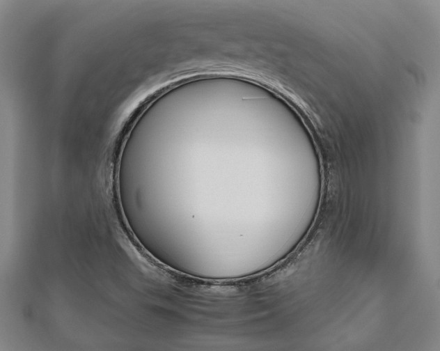 X0000112471503200908170939