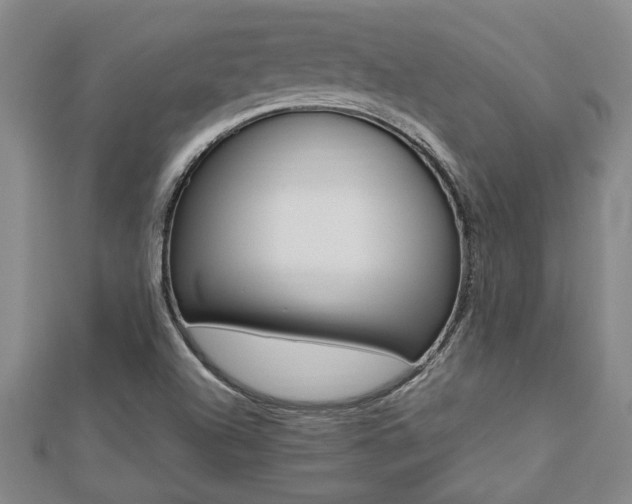 X0000112471504200908170939
