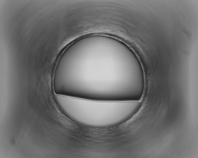 X0000112471505200908170939
