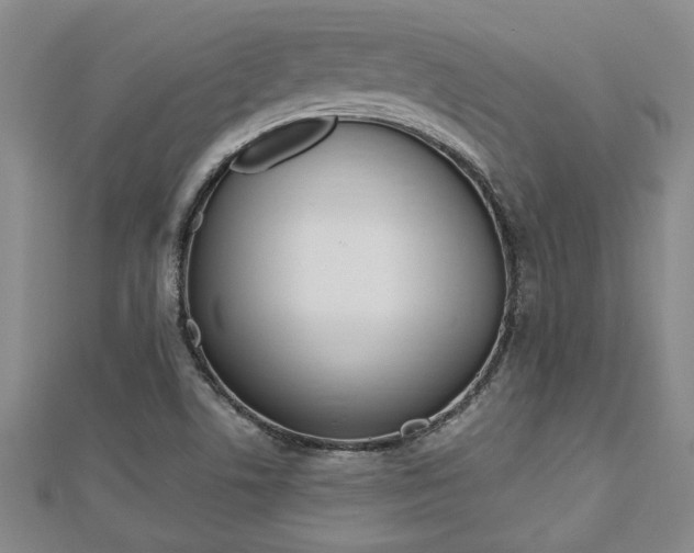 X0000112471506200908170939
