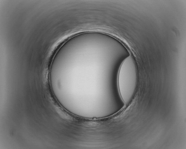 X0000112471507200908170939