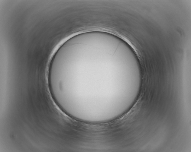 X0000112471508200908170939