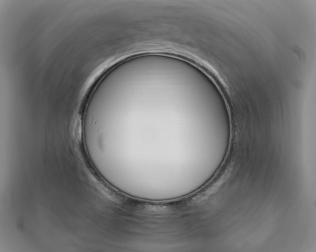 X0000112471509200908170939