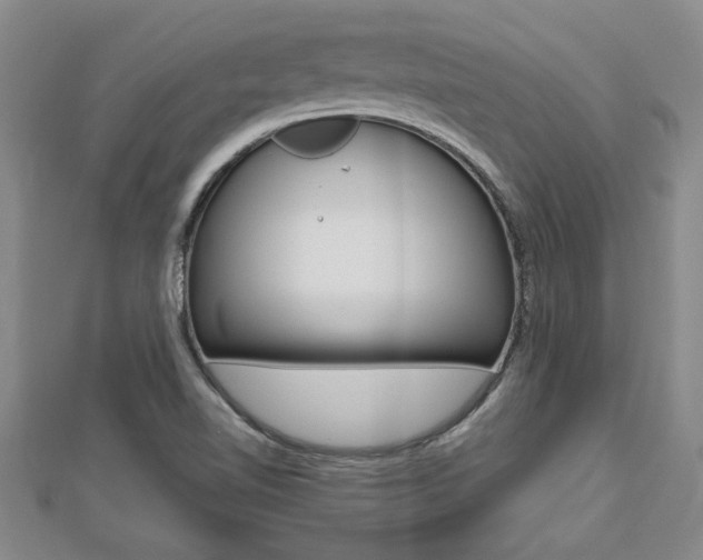 X0000112471510200908170939