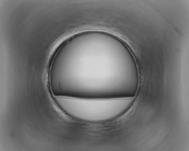 X0000112471511200908170939