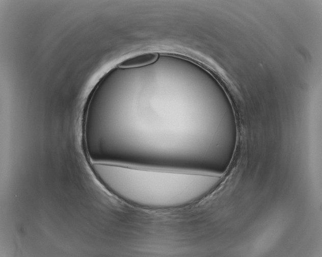 X0000112471512200908170939