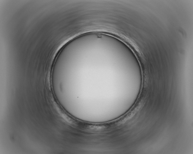 X0000112471513200908170939