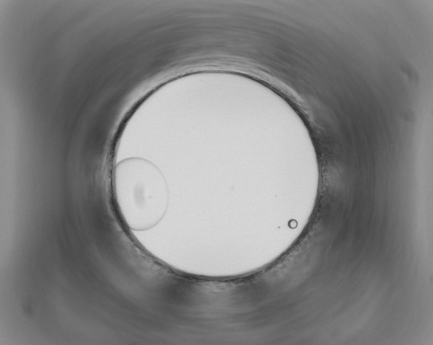 X0000112471514200908170939