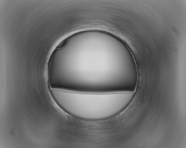 X0000112471516200908170939