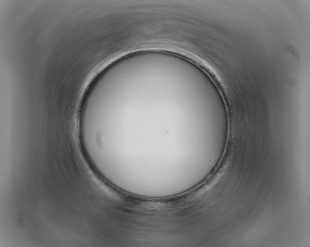 X0000112471517200908170939