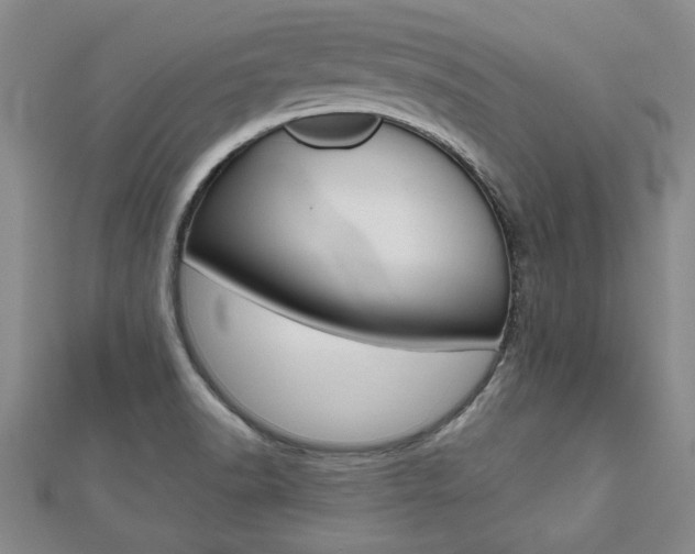X0000112471518200908170939