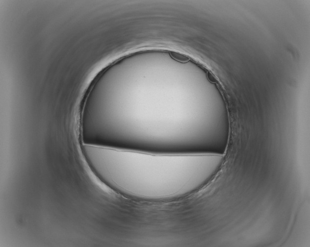 X0000112471519200908170939