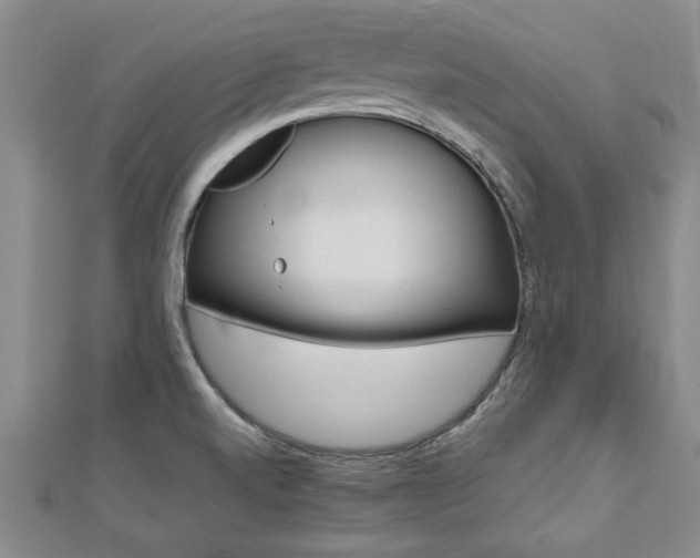 X0000112471520200908170939