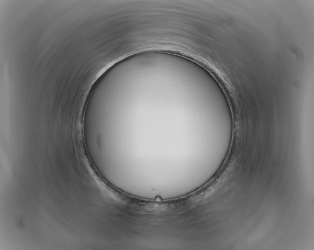 X0000112471521200908170939