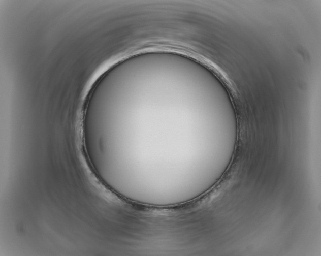 X0000112471522200908170940