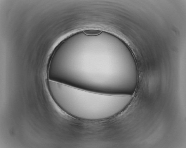 X0000112471523200908170940