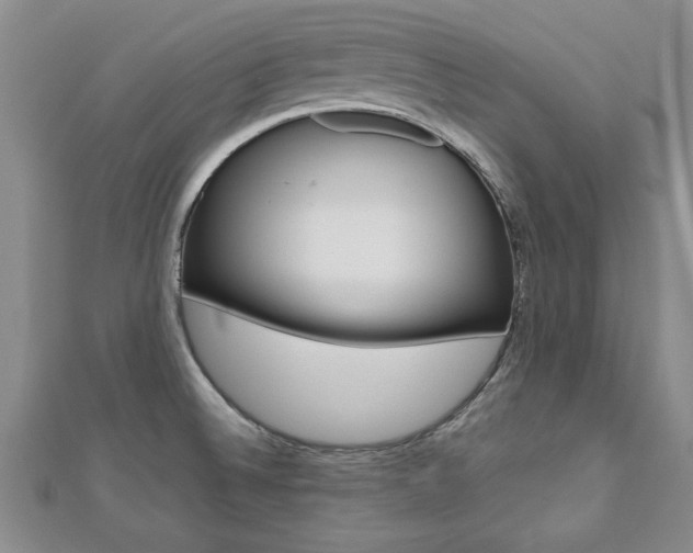 X0000112471524200908170940