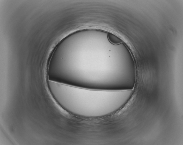 X0000112471525200908170940